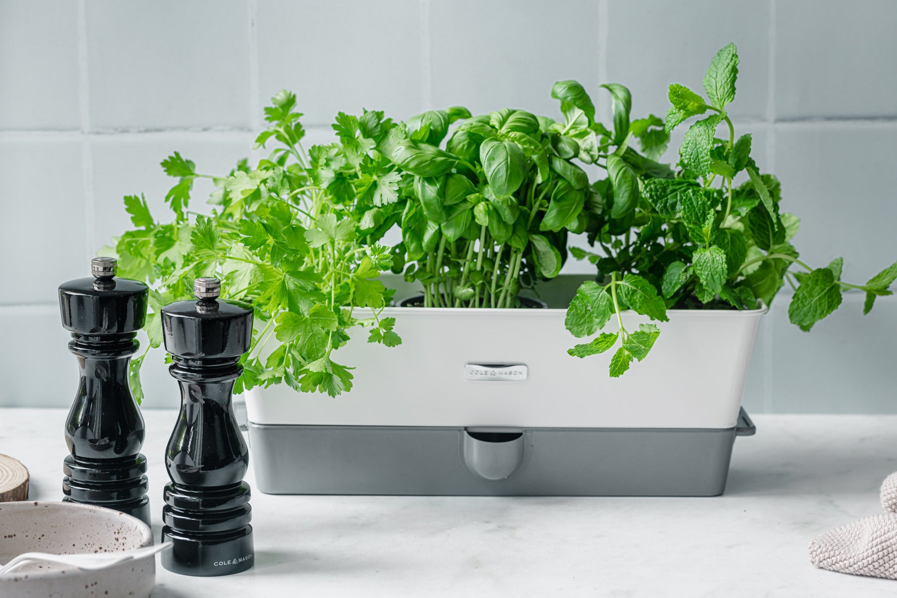 A GUIDE TO KEEPING POTTED HERBS Cole & Mason Swiss