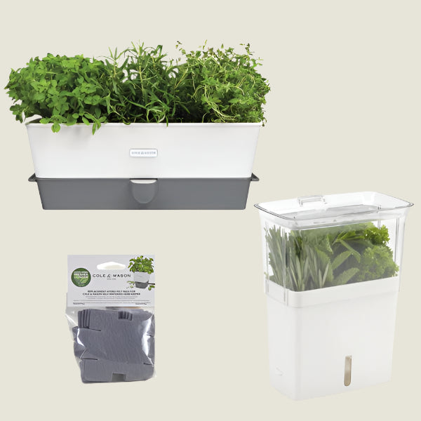 The Cole & Mason UK Burwell Self Watering Potted Herb Keeper Triple and Tealby Herb Keeper set includes a white self-watering herb keeper with fresh herbs, spare refill pads, and a white planter with green herbs.