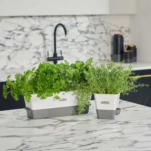 Two Cole & Mason Burwell Self-Watering Potted Herb Keepers with fresh herbs sit on a marble kitchen countertop in front of a black sink and faucet, with a white and gray marble backsplash in the background.