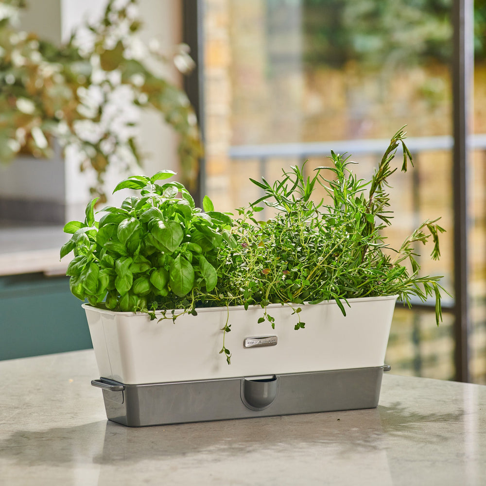 The Cole & Mason UK Burwell Self Watering Potted Herb Keeper Triple and Tealby Herb Keeper set includes a white self-watering herb keeper with fresh herbs, spare refill pads, and a white planter with green herbs.