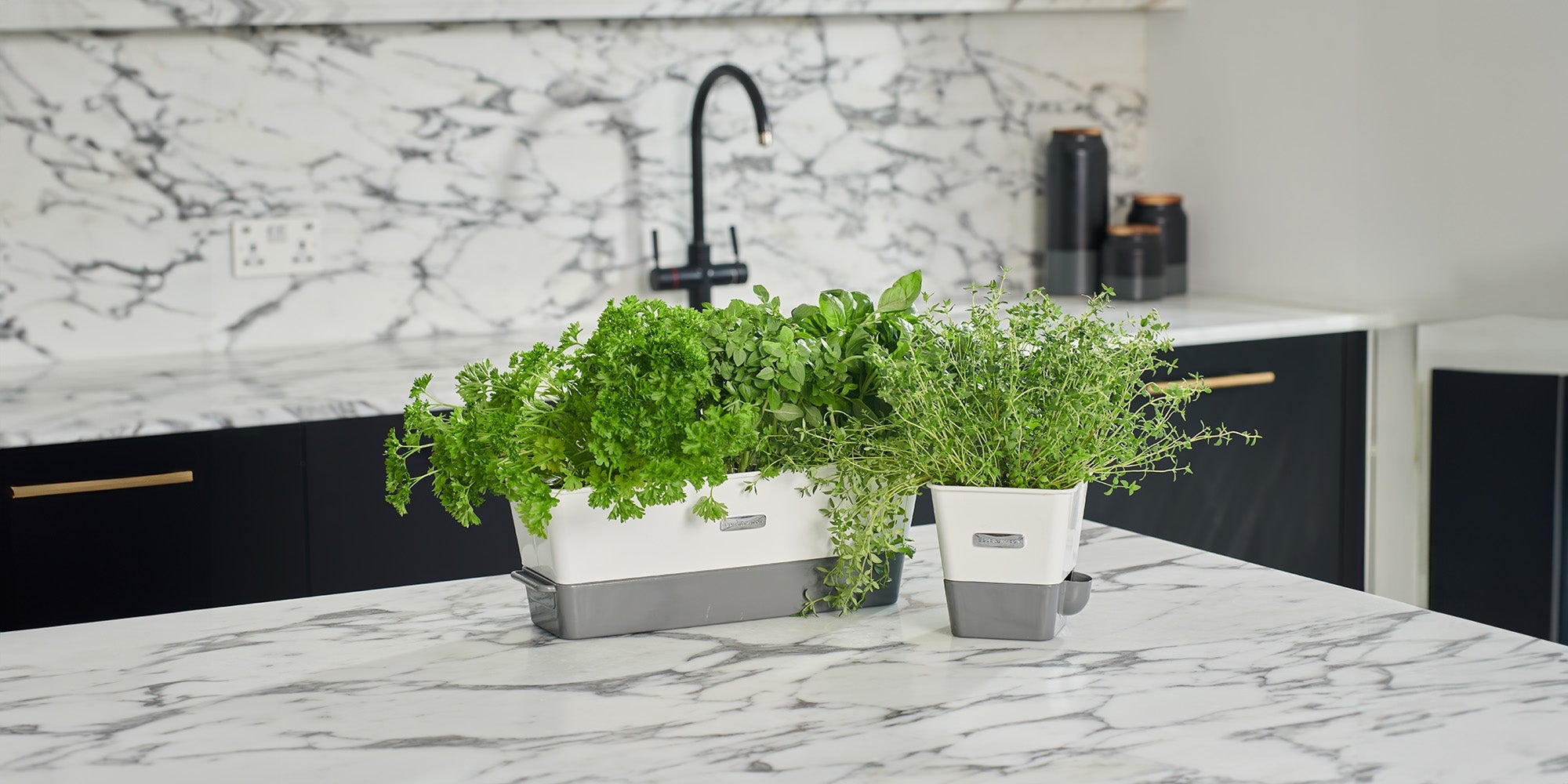 A modern kitchen with a marble countertop features two white planters filled with fresh green herbs. A black faucet and appliances are visible in the background.