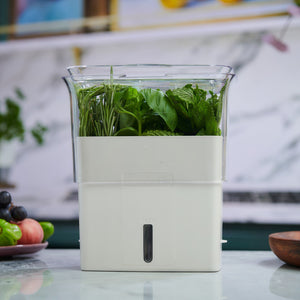 A Cole & Mason Tealby Cut Herb Keeper filled with fresh herbs sits on a kitchen counter, with blurred produce and a marble backsplash in the background, emphasizing the hydration and vibrancy of its greenery.
