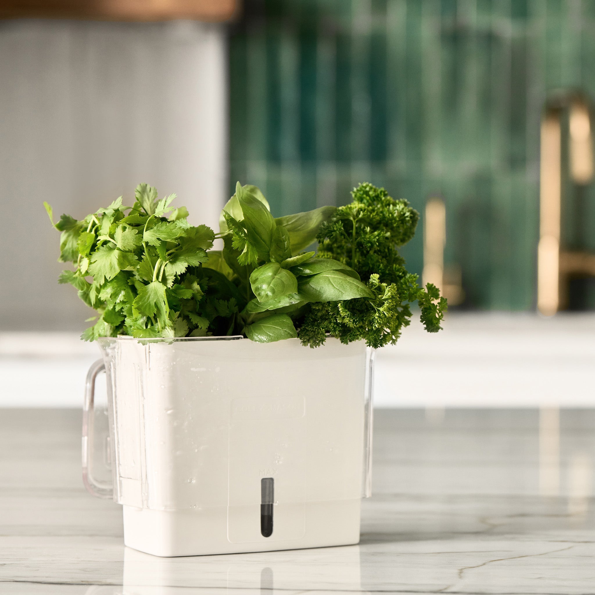 A white container with fresh green herbs, including cilantro, basil, and parsley, sits on a marble countertop. A green tiled wall and brass faucet are blurred in the background.
