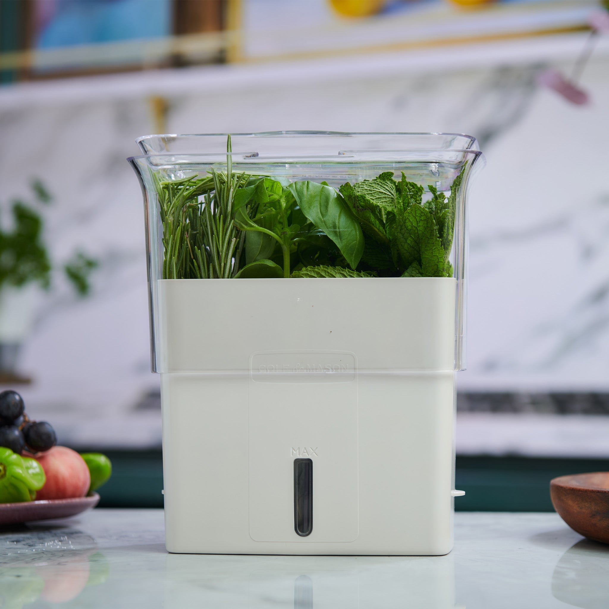 A white kitchen container filled with fresh green herbs sits on a countertop, with a water level indicator on the front. Fruits and vegetables are blurred in the background.